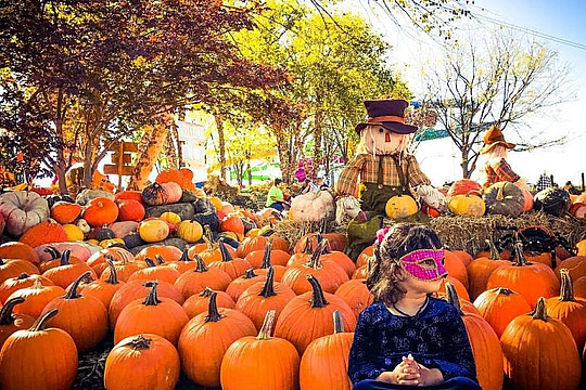 A girl sitting front of pumpkins